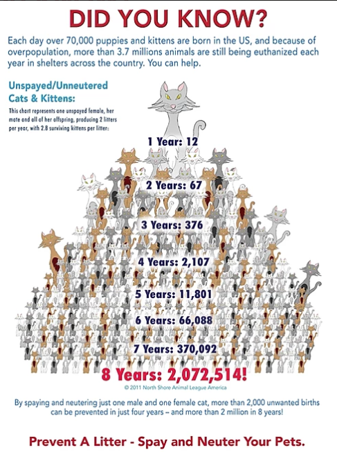 Overpopulation Facts – Community Humane Shelter of Steuben County